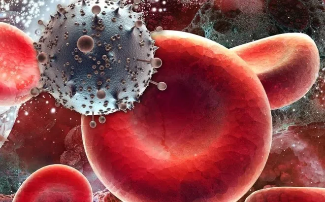 Châu Phi triển khai mũi tiêm dự phòng ngừa HIV với hiệu quả gần 100%