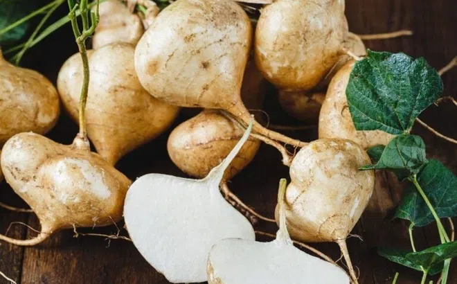 Củ sắn rất tốt nhưng có bộ phận là 'thuốc độc': Bạn đã biết chưa?
