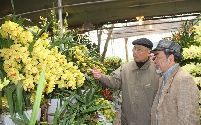 Nâng cao vị thế vai trò của nghề Sinh Vật Cảnh trong phát triển kinh tế xã hội trên địa bàn Hà Nội