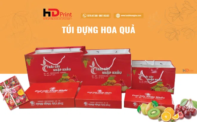 In túi đựng hoa quả - Nâng tầm nông sản Việt Nam