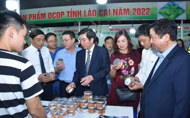 Tuần lễ Nông sản an toàn và Sản phẩm OCOP với hàng trăm mặt hàng nông sản từ Lào Cai
